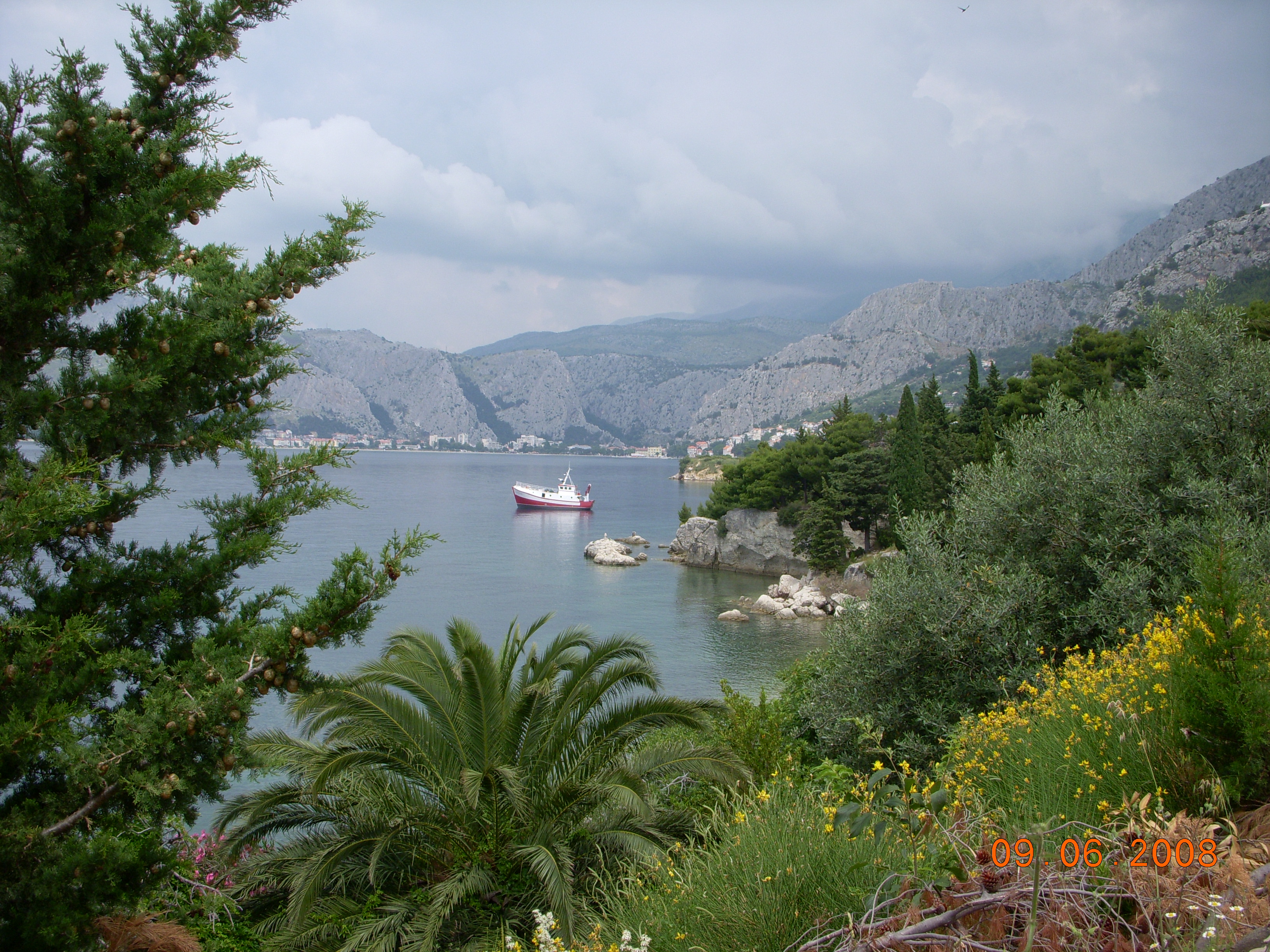 DSCN1664.jpg